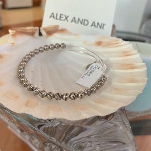 Alex and Ani Rafaellian Silver Beaded Bangle